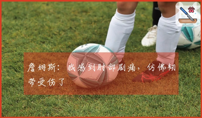 詹姆斯：我感到肘部剧痛，仿佛韧带受伤了