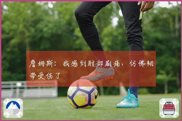 詹姆斯:我感到肘部剧痛,仿佛韧带受伤了